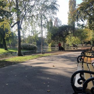 City park, Stadtpark Vienna, people walking by, wind through trees, distant traffic, distant airplane, birds, crows, ducks