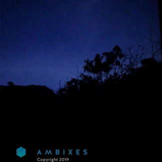 City outskirts, night, airplane, car pass, pygmy owls, distant dog