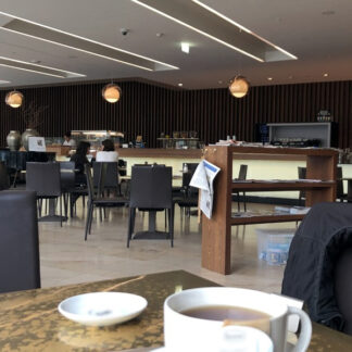 Cafe, large, small crowd, Austrian language, kids in background