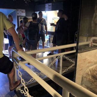 Aquarium, terrarium, German language, snake show, adults, children, conversations, filter AC humming, Krk, Croatia